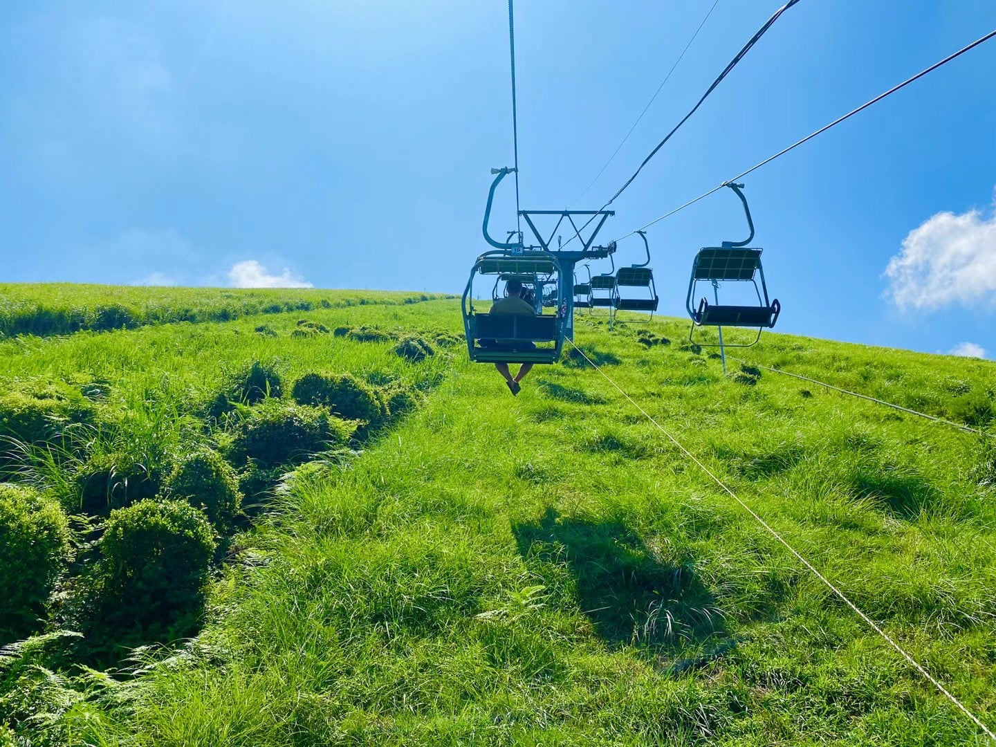 東京出發｜伊豆大室山・城崎海岸・伊東海洋城，絕美絕景 1 日遊！
