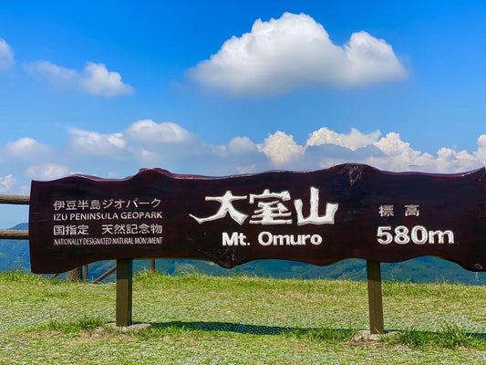 東京出發｜伊豆大室山・城崎海岸・伊東海洋城，絕美絕景 1 日遊！
