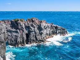 東京出發｜伊豆大室山・城崎海岸・伊東海洋城，絕美絕景 1 日遊！