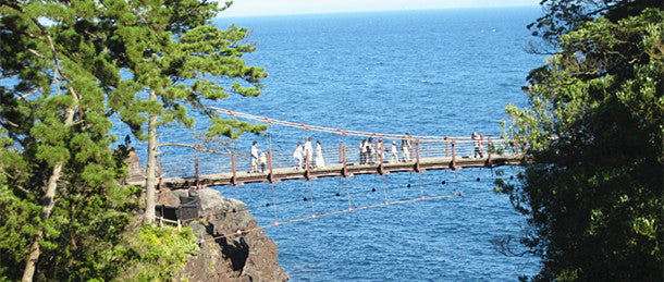 東京出發｜伊豆大室山・城崎海岸・伊東海洋城，絕美絕景 1 日遊！