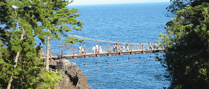 東京出發｜伊豆大室山・城崎海岸・伊東海洋城，絕美絕景 1 日遊！